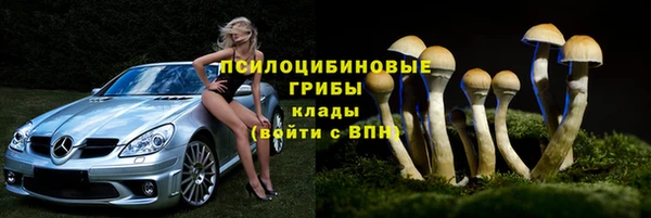spice Богданович