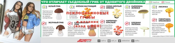 spice Богданович