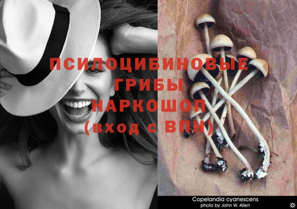 винт Богородск