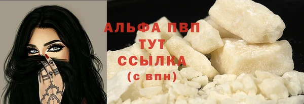 spice Богданович