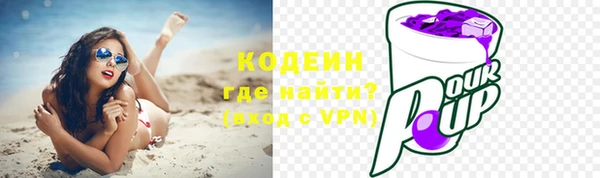 spice Богданович