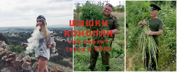 spice Богданович