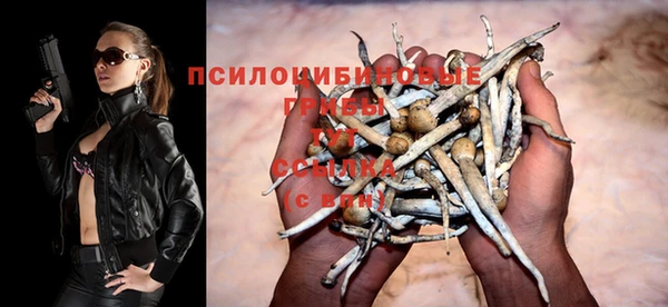 стафф Богородицк