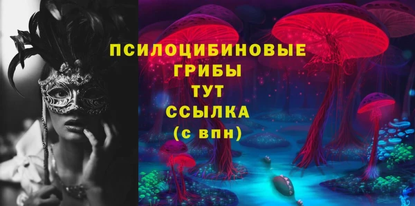 стафф Богородицк